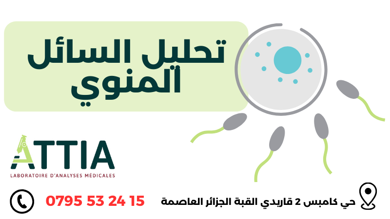Spermogramme (Analyse du Liquide Séminal) à Alger (Kouba)
