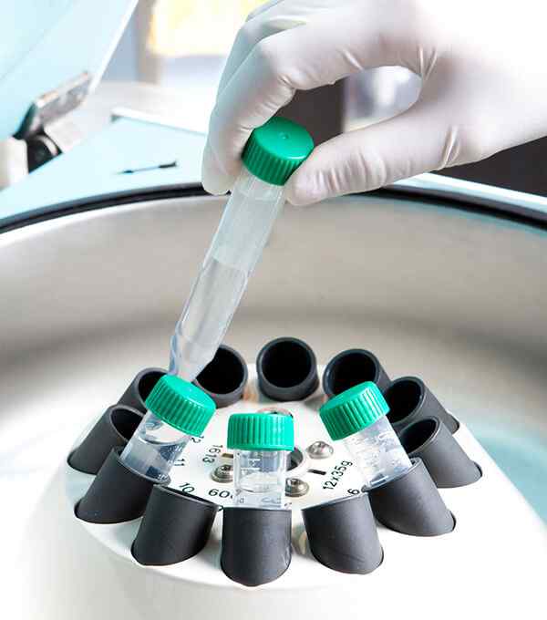 Hématologie