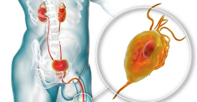 prostate