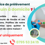 Service de Prélèvement Sanguin à Domicile alger